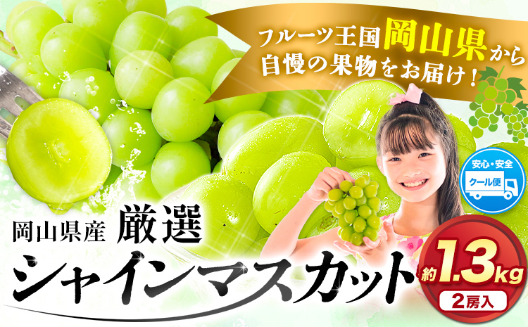 【先行予約】厳選 訳あり シャインマスカット 約 1.3kg 2房《2025年9月中旬-11月上旬頃出荷》岡山県 浅口市 シャインマスカット ぶどう フルーツ 果物 贈り物 ギフト 国産 岡山県産 送料無料