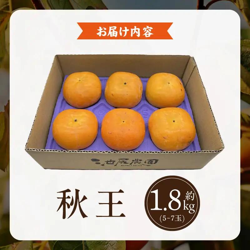 【2026年11月より順次発送】福岡県ブランド柿 秋王 5-7玉 約1.8kg 池尻農園 〔Fk113〕