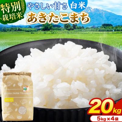 ふるさと納税 弘前市 米【特別栽培米】あきたこまち 白米 20kg(5kg×4袋)令和7年産|24_mft-042001