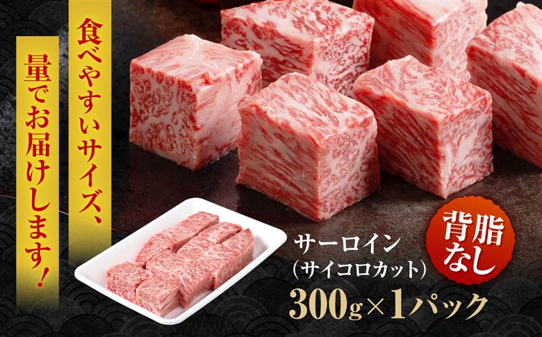 佐賀牛 SPサーロインサイコロ 300g 【株式会社いろは精肉店】 [IAG237]