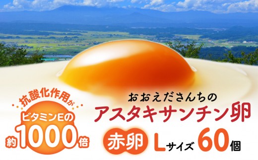 
                  おおえだファーム 御皇卵 アスタキサンチン卵（赤卵） Lサイズ 60個入り
                