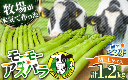 【先行予約・25年6月以降発送】モーモーアスパラ夏芽 L・M 1.2kg 食べやすい太さの2種セット 1.2kg / アスパラ/ アスパラ/ アスパラ/ アスパラ/ アスパラ/ アスパラ / 日田市 / 有限会社本川牧場[ARAI038]