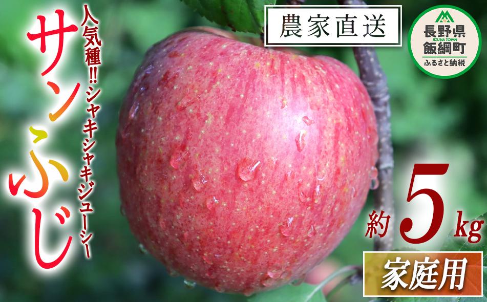 
            りんご サンふじ 家庭用 5kg 寺島農園 沖縄県への配送不可 2025年11月下旬頃から2026年2月上旬頃まで順次発送予定 令和7年度収穫分 信州 果物 フルーツ リンゴ 林檎 長野 予約 農家直送 長野県 飯綱町 [0770]
          