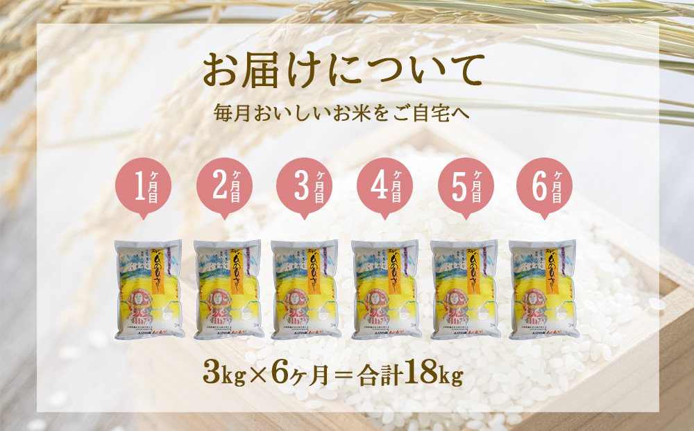 【半年定期便】令和７年産先行予約 えびの産 ひのひかり 3kg×6ヶ月 合計18kg 定期便 米 お米 白米 ヒノヒカリ おにぎり お弁当 九州 宮崎県 特選米 冷めても美味しい 送料無料