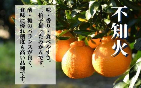 【不知火】家庭用 約5kg ＜2025年2月末～4月頭頃発送＞
