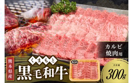 【熊本県産 黒毛和牛】 カルビ 焼肉用 300g くまもと黒毛和牛 熊本県産 黒毛和牛 焼肉 バーベキュー BBQ 和牛 牛 牛肉 国産 熊本 阿蘇 南小国 南小国町 送料無料