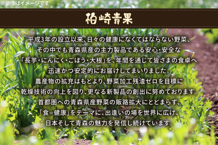 にんにく パウダー 20g 2袋 計40g