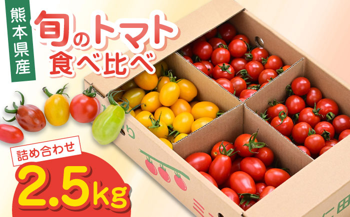 
【先行予約】【期間限定】熊本県産 減農薬栽培 トマト ミディトマト 2.5kg 詰め合わせ ミニトマト 食べ比べ ミニトマト【矢仁田農園】[YDE003]
