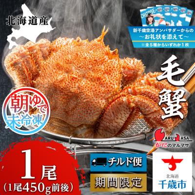 ふるさと納税 千歳市 【千歳市開港100年記念　10月22日入金分まで】〜お礼状を添えて〜朝ゆで毛ガニ(450g前後)1尾