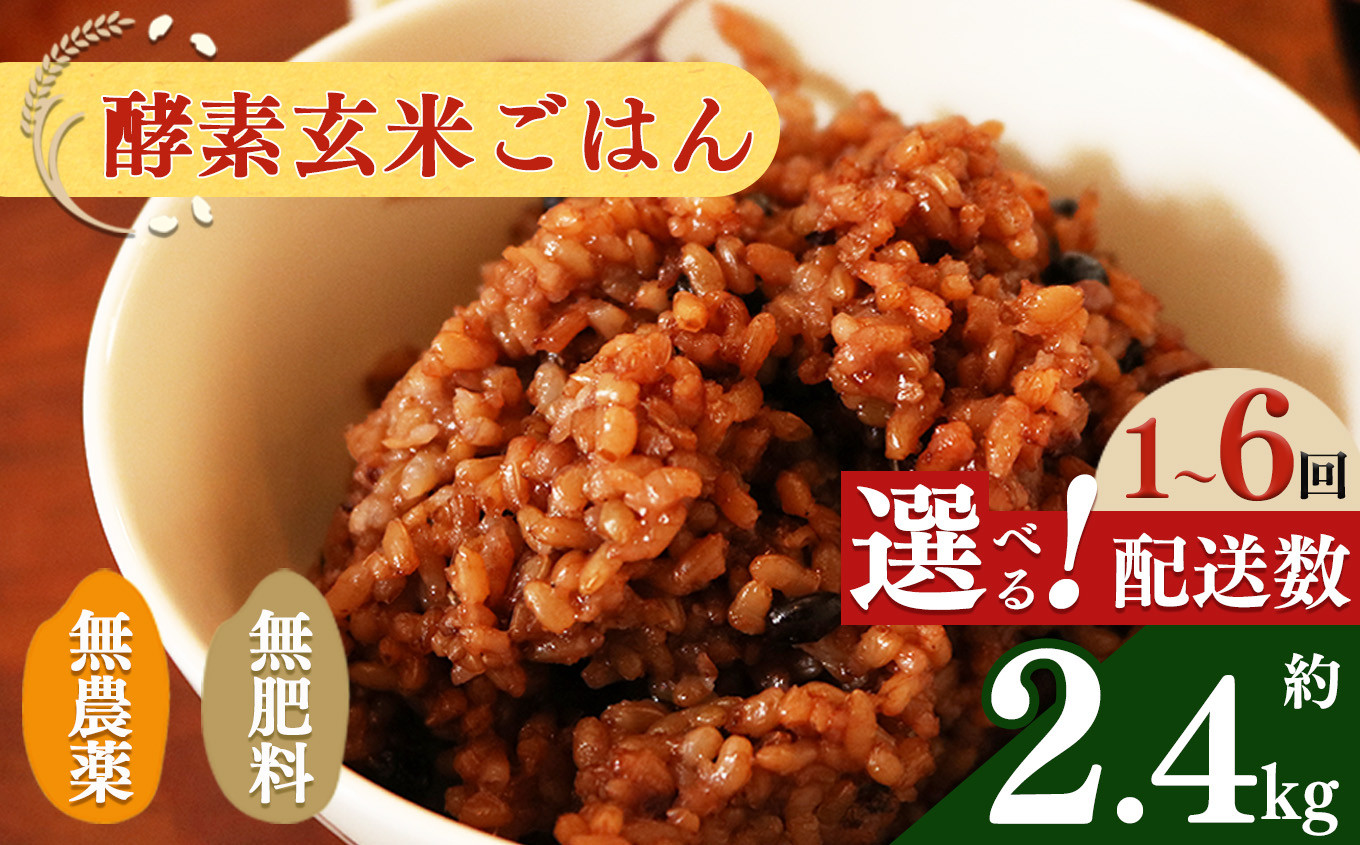 
                  【 選べる 配送 回数 】酵素玄米 ごはん ( 長岡式 ) 約 2.4kg |  | 米 こめ コメ 玄米 ごはん げんまい ゲンマ イ 酵素玄米 発酵 美容 健康 酵素 主食 パウチ 冷凍 ヘルシー 米 エミニニ オーガニック ファーム 無農薬 無肥料 小豆 塩 消化がいい アンチエイジング 便秘解消 モチモチ感 オーガニックカフェ イマジン 奈良県 平群町 3日間寝かせた 
                