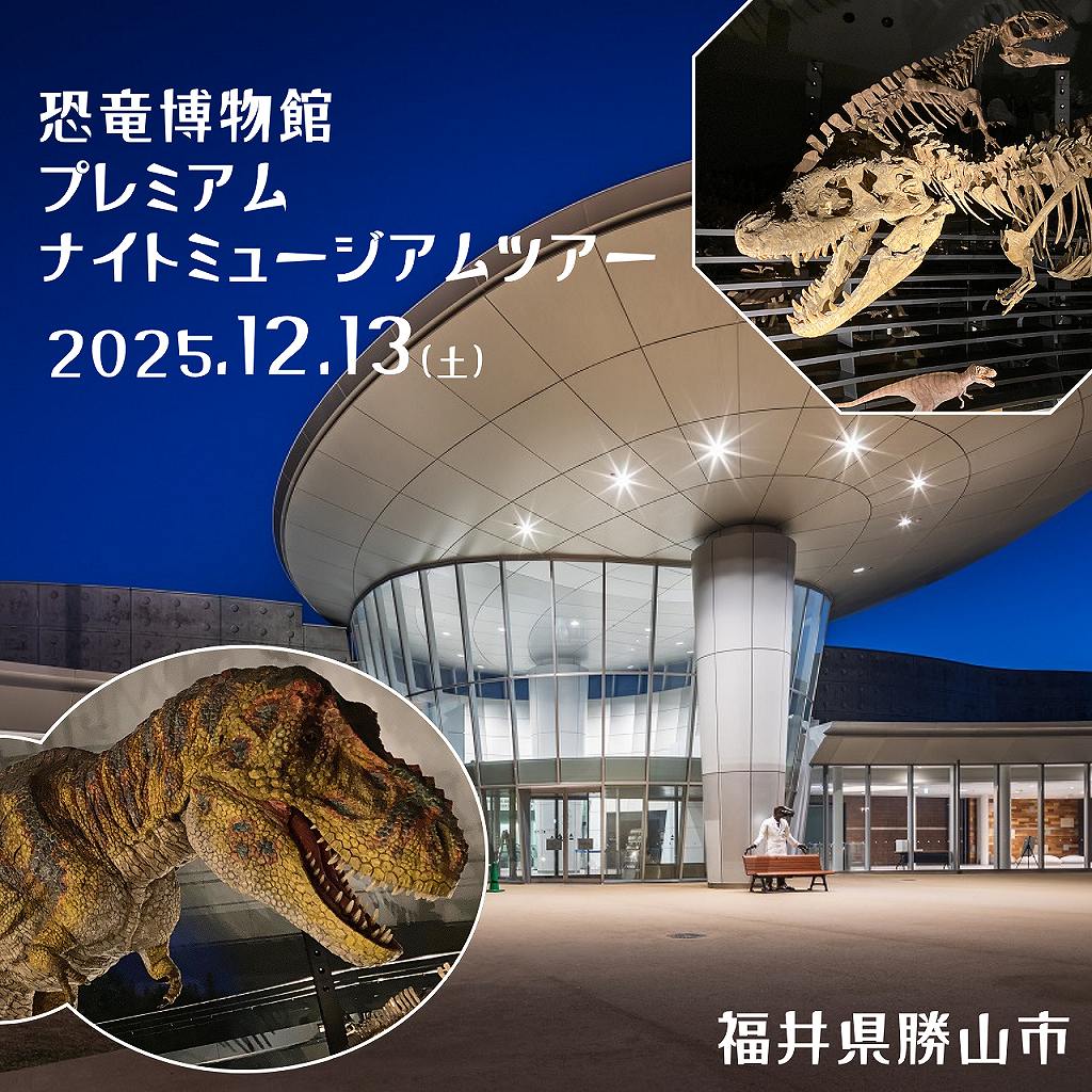 【ふるさと納税】【日帰り・12月13日(土)催行】恐竜博物館プレミアムナイトミュージアムツアー (先着順) ｜ 冬の旅行 日帰り旅行 特別ツアー 特別公開 期間限定 博物館