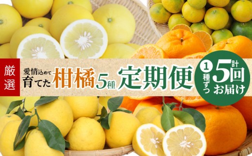 
                  S040-017_【定期便5回】厳選！天草 下浦地区の農家が愛情込めて育てた柑橘5種〈先行受付〉
                