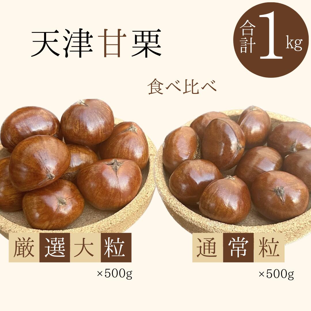 【ふるさと納税】この道50年の職人が焼く、やさしい甘みたっぷりの 厳選大粒と 通常サイズ 合計1kg 食べ比べセット 焼きたて 栗 くり 栗爪 殻付き お菓子 おつまみ 人気 高リピート 小分け 栗ご飯 天津甘栗 栗きんとん 甘露煮 愛知県 碧南市 送料無料
