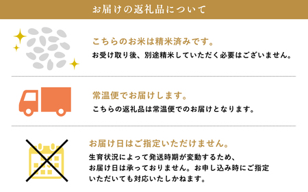 【MADE IN 柏木農業高校】11月中旬～発送 新米　令和6年産 まっしぐら 10kg