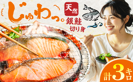 銀鮭　切り身　3kg　広川町 / 株式会社イールファクトリー[AFBS027]