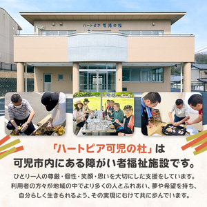 【思いやり型返礼品】障がい者福祉施設　ハートピア可児の杜の「うどんかりんとう」プレーン＋ラズベリー 【0066-004-2】
