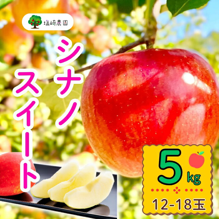 【ふるさと納税】＜先行予約＞シナノスイート【約5kg(12〜18玉)】 ＜出荷開始：2025年10月中旬～下旬頃＞(7-A24-2)【 りんご フルーツ 長野県 飯山市 ギフト プレゼント 記念日 誕生日 父の日 母の日 敬老の日 記念品 シナノスイート リンゴ 林檎 くだもの 果物】