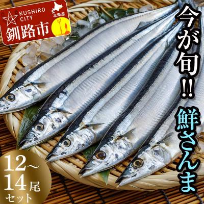 ふるさと納税 釧路市 釧路産・鮮さんま2kg(12-14尾)特大 魚 魚介 海産物 干物 おかず 肴 F4F-8607