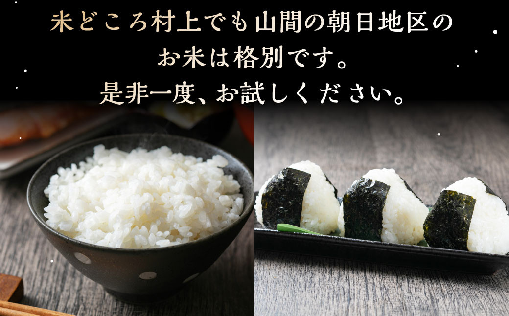 【6ヶ月定期便】村上市産 新之助 36kg （6kg×6ヶ月）コース