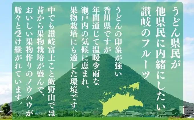 【2026年8月上旬から順次発送】 ピオーネ 約2kg 3-6房入