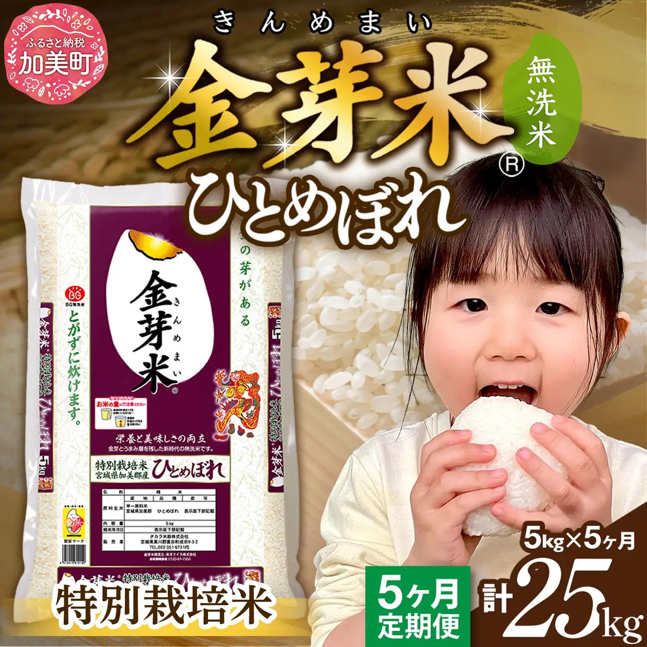 【新米予約】【定期便5回】令和8年産 加美産 金芽米 ひとめぼれ 特別栽培米 無洗米 5kg×5回
