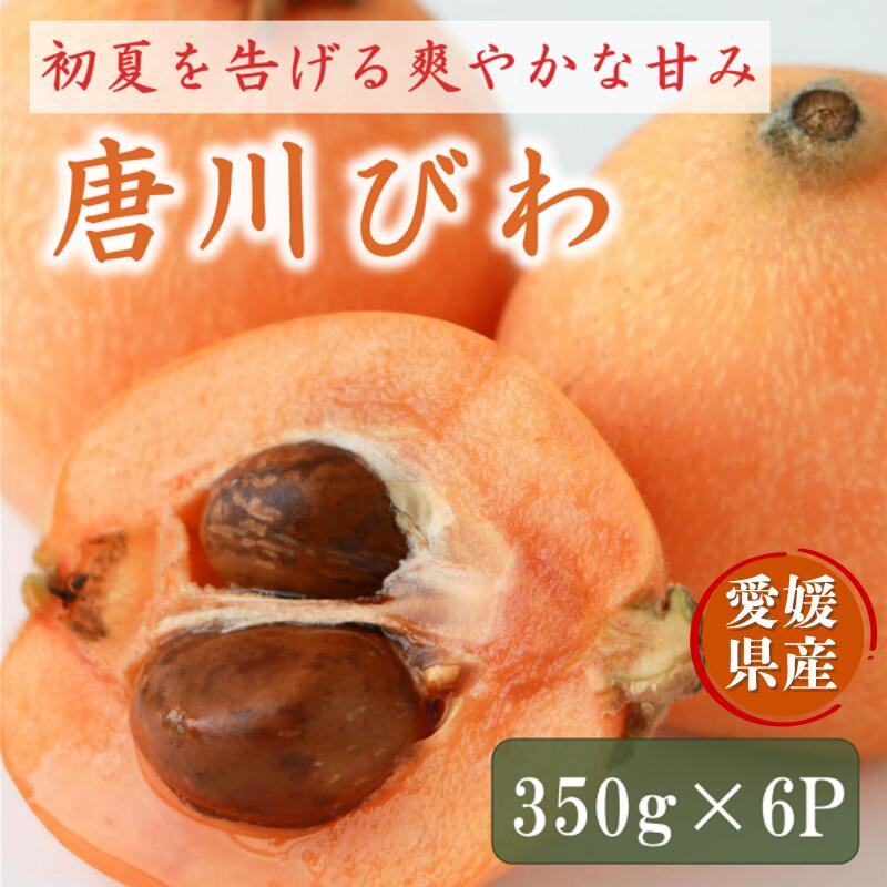 【ふるさと納税】びわ 唐川びわ 350g×6パック 約2.1kg 大粒 伊予市ブランド認定品 季節限定 数量限定 フルーツ 果物 愛媛県産 枇杷 旬 手作業 生産者直送 甘い 程よい酸味 お取り寄せ 愛媛県 伊予市 | B124