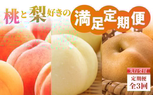 ≪先行受付≫ 桃と梨好きの満足定期便【定期便全3回】 【060-T10】