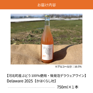【河北町産ぶどう100％使用・微発泡デラウェアワイン】Delaware 2024（750ml×1本）【かほくらし社】