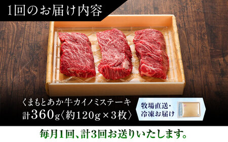 全3回定期便 GI認証くまもとあか牛カイノミステーキ 約120g×3枚 ステーキ BHAS060 ステーキ