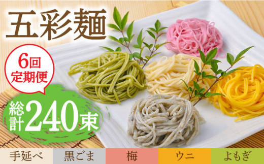 
【6回定期便】五彩麺 セット 40束 / そうめん 素麺 黒ごま 梅 うに よもぎ / 麺 乾麺 食べ比べ 詰め合わせ カラフル / 南島原市 / のうち製麺 [SAF028]
