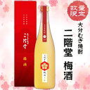 【ふるさと納税】【数量限定】二階堂 梅酒 (化粧箱入り) AG42【1291923】