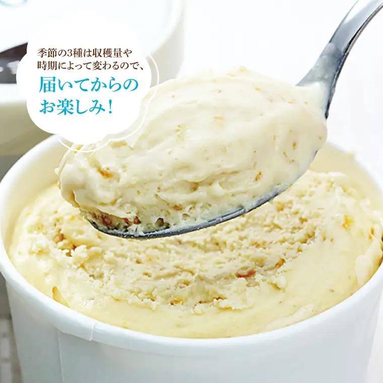 益子町 無添加アイスクリーム 計10個×年3回 定期便 AB003