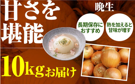 【先行予約 2027年3月～発送】【2回定期便】玉ねぎ定期便 10kg/回 / 玉ねぎ [IAO027]