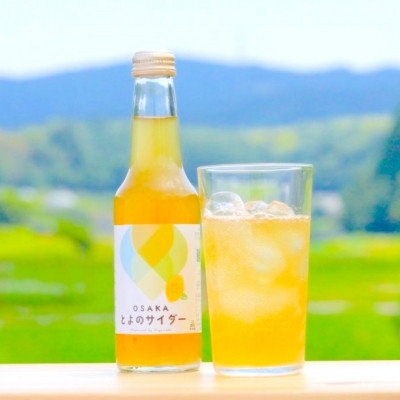 
                  大阪府豊能町ご当地サイダー|とよのサイダー＜24本セット＞【1703045】
                