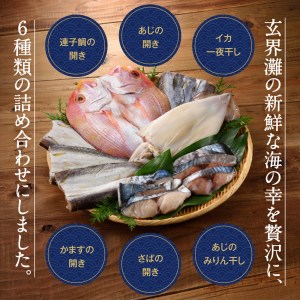 【旨味凝縮】玄界灘の贅沢干物6種セット