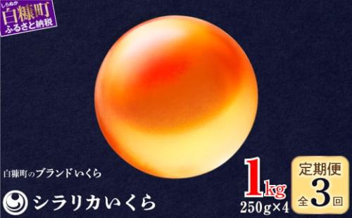 年3回お届け定期便 シラリカいくら（生いくら） 1kg(250g×4) お好みに味付けができます いくら イクラ 小分け 生いくら 生イクラ いくら醤油漬 鮭いくら 鮭イクラ イクラ醤油漬 鮭 鮭卵 いくら醤油漬け ikura 醤油いくら 醤油イクラ 冷凍いくら いくら無添加 いくら鮭 ふるさと納税 北海道 白糠町