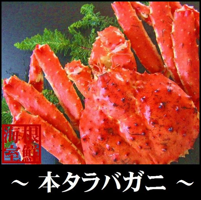 【ふるさと納税】 本タラバガニ 1.0 〜 1.2kg 前後 × 1 尾 たらば タラバ たらばがに たらば蟹 タラバ蟹 かに カニ 蟹 お取り寄せ グルメ 海鮮 ボイル 茹で蟹 茹でがに 茹でガニ 北海道 根室市 ふるさと納税 C-57013