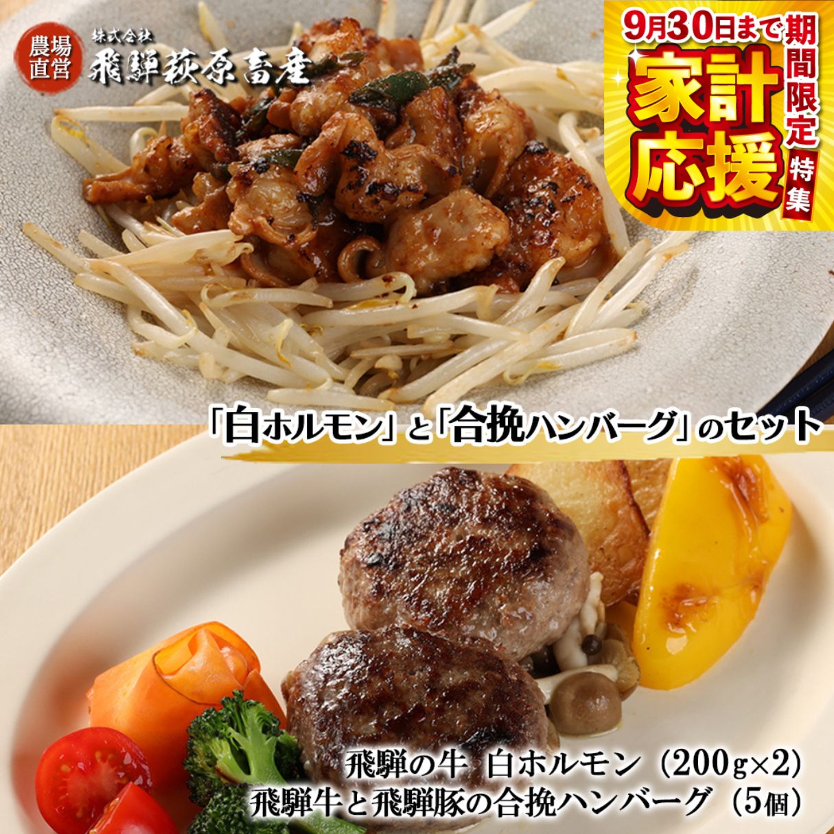 【ふるさと納税】【家計応援】　飛騨の牛白ホルモン（200g×2袋）・合挽ハンバーグ（5個）セット【冷凍】国産 牛肉 ブランド牛 和牛 下呂温泉 飛騨 ギフト 贈り物 贈答 父の日 母の日 お中元 お祝い 牛ホルモン 18000円 岐阜県 下呂市