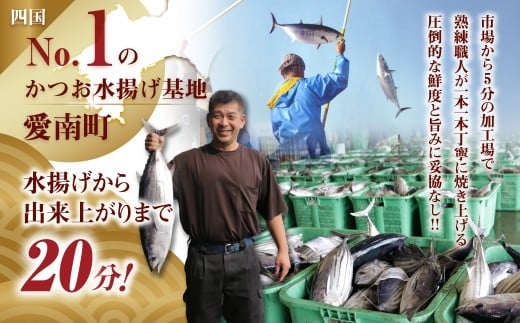 訳あり かつおのたたき 1kg と 愛南ゴールド 真鯛 200g お試し セット 10000円 サイズ 不揃い 規格外 カツオたたき 鰹たたき