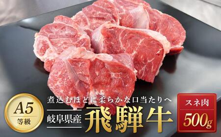 飛騨牛 Ａ5 スネ肉 カット 500ｇ｜国産 肉 牛肉 和牛 黒毛和牛  A5等級 グルメ おすすめ AD106【飛騨牛 和牛ブランド 黒毛和牛 岐阜 大野町 牛肉 肉 和牛】