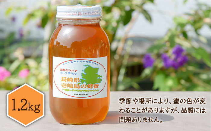 ニホンミツバチ 生蜂蜜 1,200g×1 《壱岐市》【憲ちゃんハチミツ】[JCL003] ハチミツ 蜂蜜 日本蜜蜂 58000 58000円