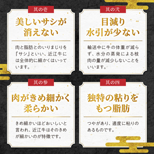 近江牛焼肉　500g・近江牛切り落とし　300ｇ×3  日本三大和牛 近江牛 切り落とし 焼肉 国産牛 霜降り 産地直送  ブランド和牛 近江牛 AK-0009
