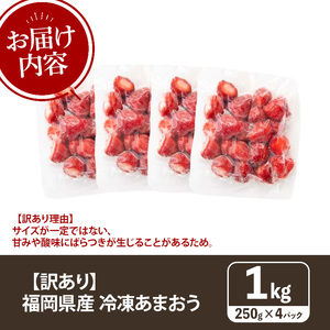 ≪訳あり≫福岡県産 冷凍あまおう(計1kg・250g×4P) いちご イチゴ 苺 ストロベリー 果物 フルーツ おやつ デザート 訳アリ わけあり サイズ不揃い 規格外 冷凍【木村食品】as46-00