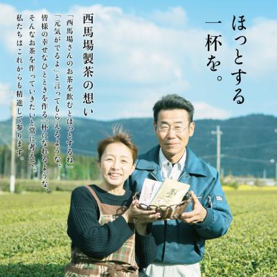 ふるさと納税 南さつま市 【新茶】<5月から出荷開始>鹿児島茶「金峰山 白銀」粉末緑茶&ティーパックセット |  | 03