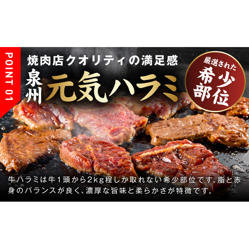 牛ハラミ肉 3kg（300g×10）秘伝の赤タレ漬け 訳あり サイズ不揃い 030D173_イメージ3