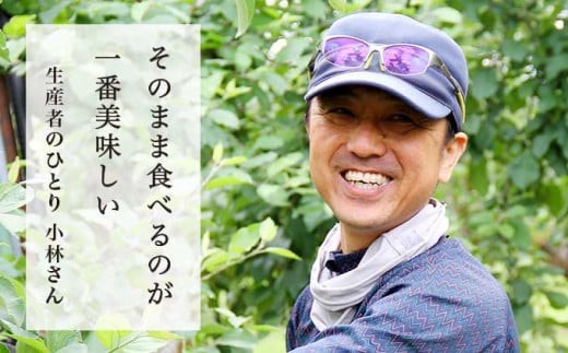 元調理師の小林さんが「そのまま食べるのが一番」と太鼓判を押すりんご。