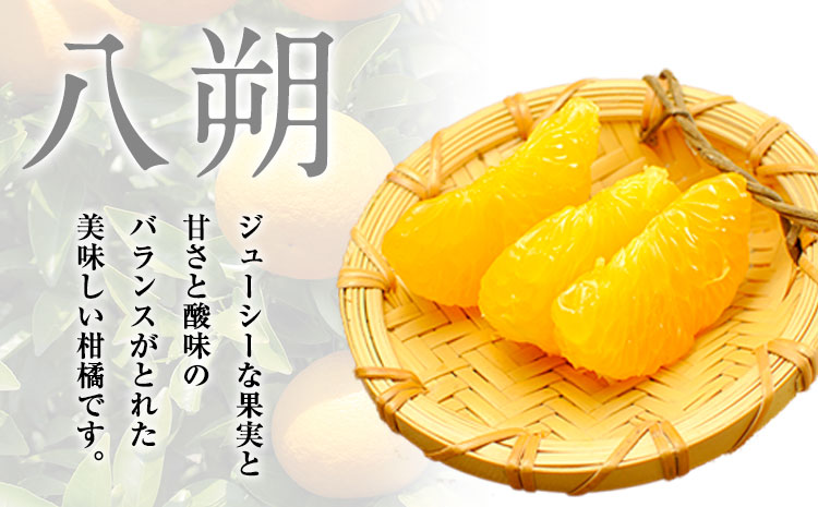 【先行予約】【訳あり/ご家庭用】はっさく 八朔 4kg＋1kg 計約5kg サンファーム《1月上旬-3月末頃より出荷予定》和歌山県 紀の川市 ご家庭用 八朔 訳あり みかん 王国(F-1)