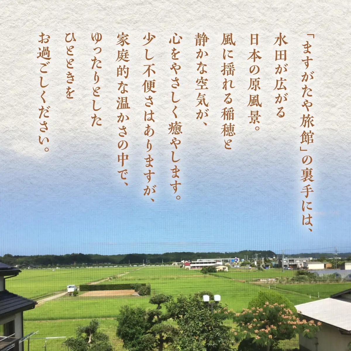 「ますがたや旅館」1泊2食付ペア宿泊券 成田空港からほど近い家庭的な雰囲気の隠れ宿_旅行券・チケット 宿泊券 【配送不可地域：離島・沖縄県】 TAKR001
