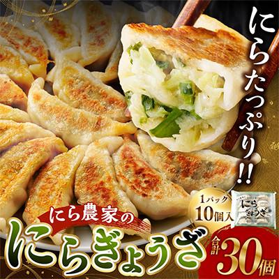 ふるさと納税 高鍋町 にら農家の『にらぎょうざ』30個 |  | 01