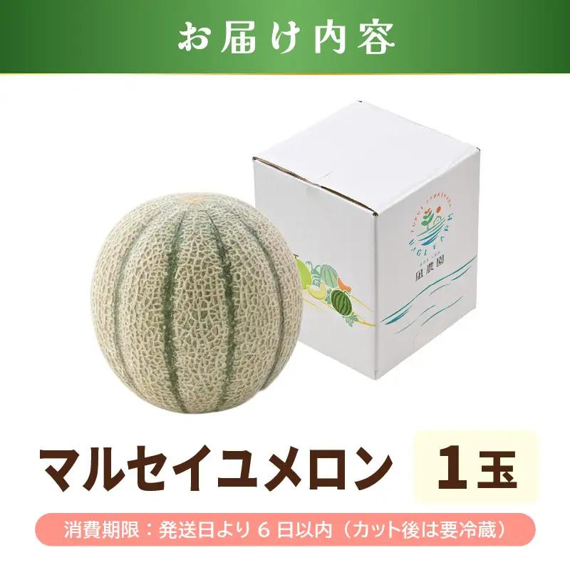 先行予約  マルセイユメロン (赤肉) 1玉 糖度15度以上 2027年6月上旬以降順次発送予定 [A-22105]